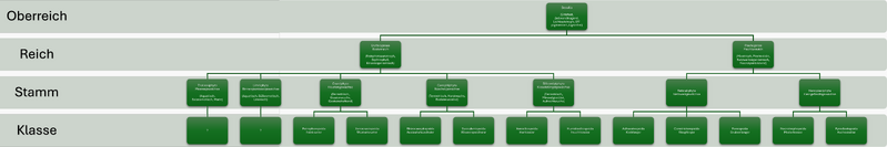 Datei:Taxonomie Sessilia.png